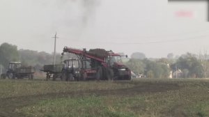 Сахарная Промышленность Украины