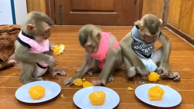 Обезьянки едят из ВОЛШЕБНОЙ КАСТРЮЛИ Горяче Лапками чистят  Перекладывают как руками