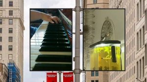 Пение Кики попугая под аккомпанемент рояля 🎹 🐦