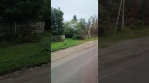 Афанасьева Липецкая область