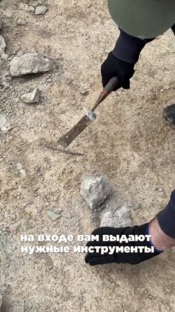 Палеопарк Путилово