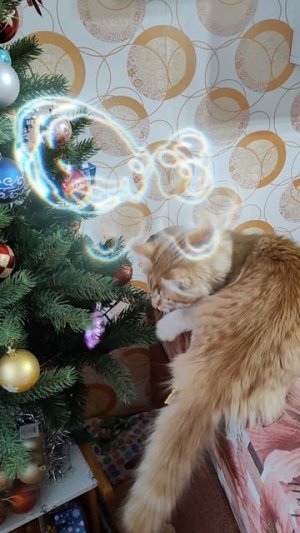 Персик и елочка