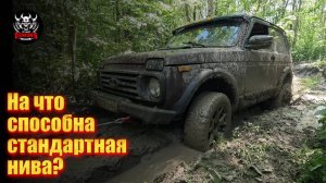 НИВА? УАЗ? МИТСУБИСИ? ЧТО ЛУЧШЕ из стандарта?