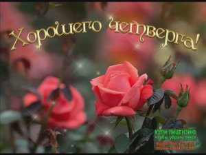 ДОБРОЕ УТРО! ПУСТЬ С ВАМИ БУДЕТ ВЕРА,НАДЕЖДА,ЛЮБОВЬ!