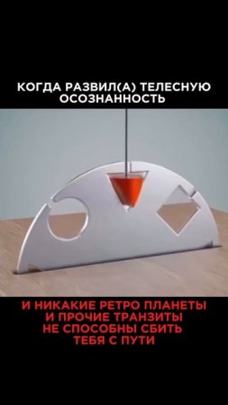 Тишина как стратегия выживания