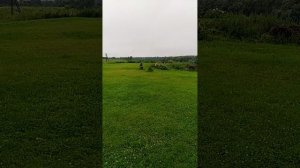 10-07-2025первая картошка