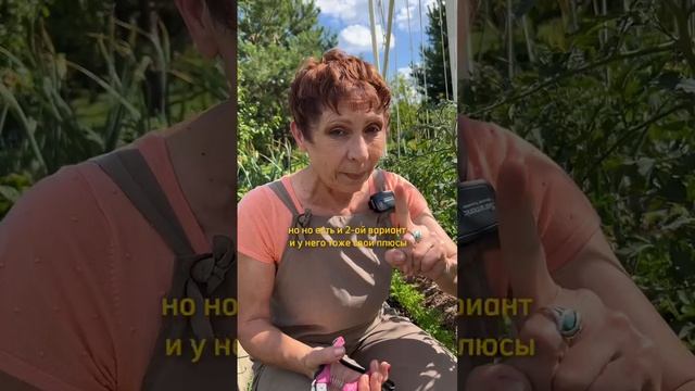 Формировка томатов! Какие пасынки оставлять?