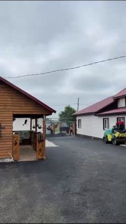 video_2025-06-16_20-04-21