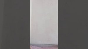 Влог МаргоШик только встала доброе утро 😊