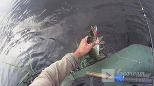 РЫБАЛКА до и после ДОЖДЯ!