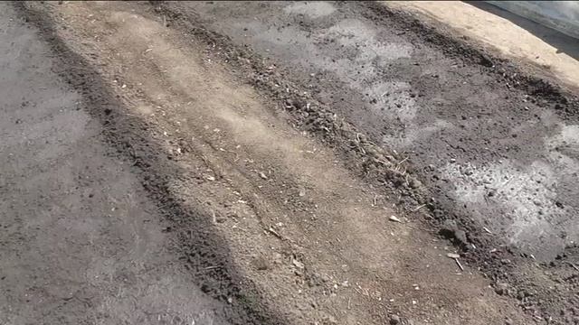 Клубника на 11 июля
