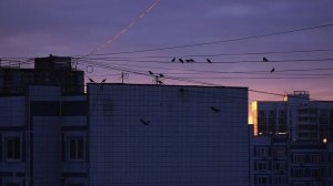 Меланхолия Арт - noise 002