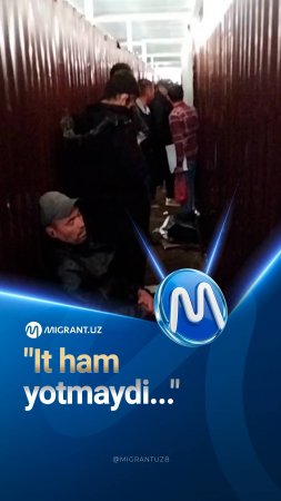 "It ham yotmaydi bunaqa joyda". Migratsiya markazlaridagi ahvoli