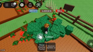 играю в вырасти сад roblox