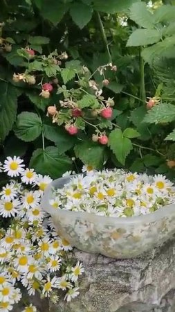 Доброе утро мои родные люди 🌞