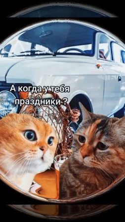 1000053893.mp4