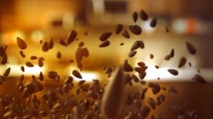 Семечки "Джинн" Новый год