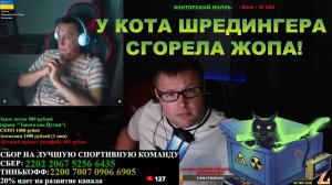 Кот Шредингера из Украины не вынес правды! Квантовая механика это тебе не тут! #россия #украина
