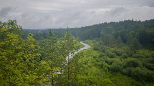 Природный парк Оленьи ручьи
