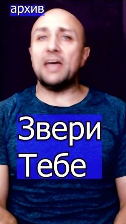 Звери - Тебе Клондайс кавер из архива