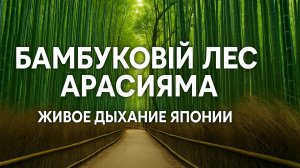 Бамбуковый лес Арасияма — Живое дыхание Японии