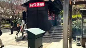 Япония красивые места посещение храма в Осаке, прогулка, экскурсия, достопримечательности Японии