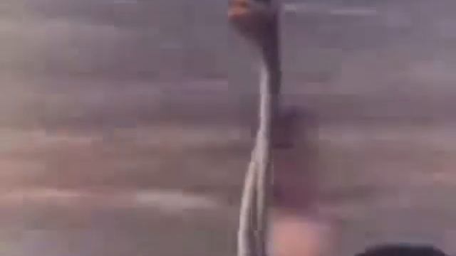 TFT_0001 смотреть онлайн