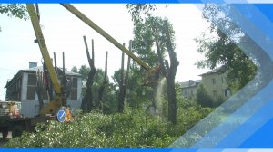 10.07.2025    Специалисты АО «Зеленый город» приступили к опиловке деревьев в районе Машзавода