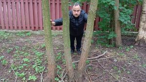 Предчувствие награды