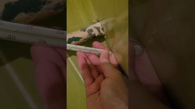 10.07.2025 включили горячую воду