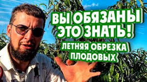 ВЫ ОБЯЗАНЫ ЭТО ЗНАТЬ! Летняя обрезка плодовых