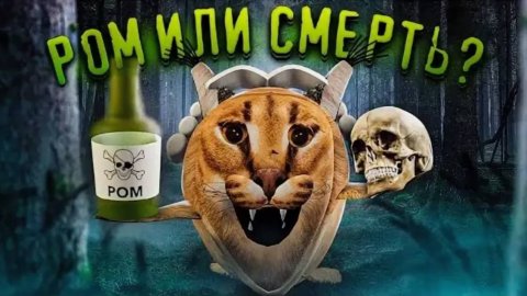 Доктор Ливси идёт искать пельмени | Блоп топ