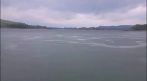 Ты неси меня река.