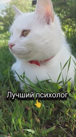 Психолог "Маруся"
