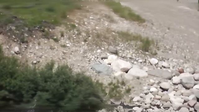 Погони Диких Животных, Снятые на Камеру смотреть онлайн