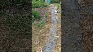 апогей моей трудоспособности