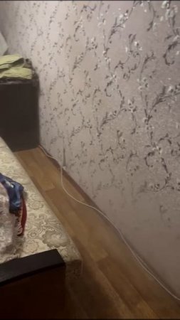 Безопасная зона — Дезинсекция