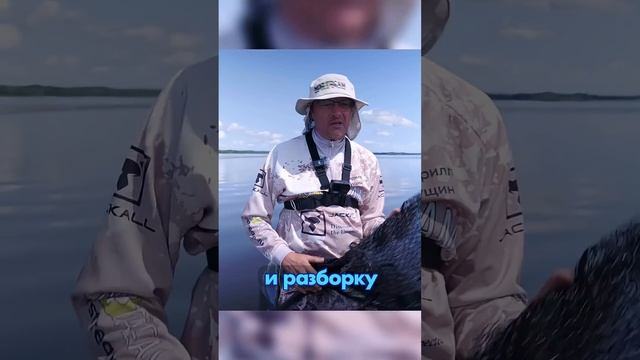 ИДЕАЛЬНЫЙ ПОДСАК от НОРСТРИМ! #fishing #norstream #рыбалка #спиннинг #new #russia