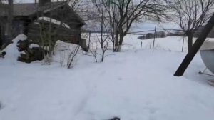 Пошли домой.