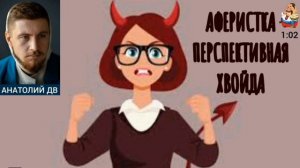Анатолий ДВ. АФЕРИСТКА –ПЕРСПЕКТИВНАЯ ХВОЙДА