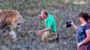 Будет ли Олег Зубков ходитить ко львам после нападения? Кто ему может это запретить? Тайган
