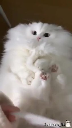 Подпишись 👉 https://vk.com/ykrasheniy_iz_kamny