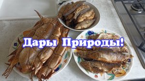 Дары Природы!