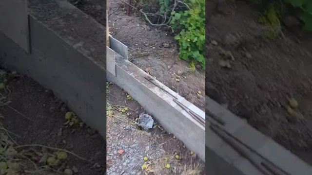 Вести с полей