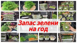 Свежесть круглый год: секреты правильной заморозки и сушки зелени