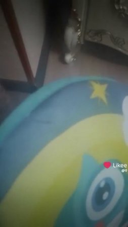 мия