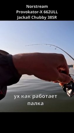 СВЯЗКА НОРСТРИМ И JACKALL В ДЕЛЕ!!!  #fishing #norstream #jackall #spinning #new #japan