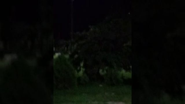 Травля мото