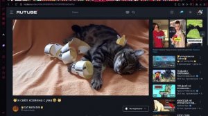 🐱я свёл хозяина с ума🤣🐱 2