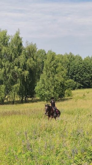 Даша на Флейте, галоп в горку.